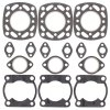 Top End Gasket Kit WINDEROSA TEGS 710109A