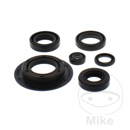 Engine oil seals kit TOURMAX