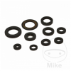 Engine oil seals kit TOURMAX