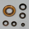 Engine oil seals kit TOURMAX