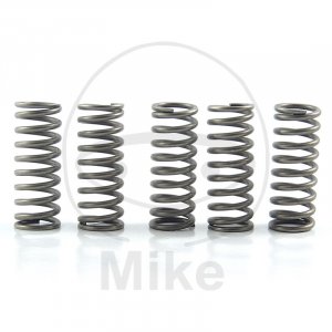 Clutch spring kit EBC 5