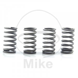 Clutch spring kit EBC 4