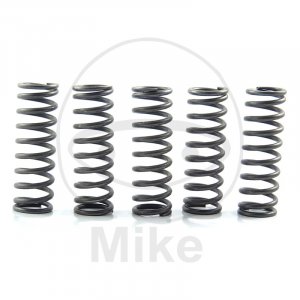 Clutch spring kit EBC 5