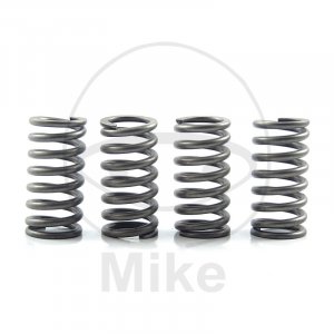 Clutch spring kit EBC 4