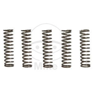 Clutch spring kit EBC 5