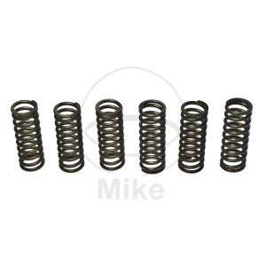 Clutch spring kit EBC 5