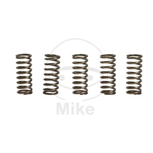 Clutch spring kit EBC 5