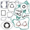 Complete Gasket Kit with Oil Seals WINDEROSA CGKOS 811236