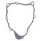 Ignition cover gasket WINDEROSA