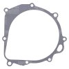 Ignition cover gasket WINDEROSA ICG 816697