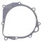 Ignition cover gasket WINDEROSA