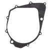 Ignition cover gasket WINDEROSA ICG 817024