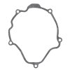 Ignition cover gasket WINDEROSA ICG 817494