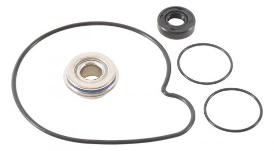 Water Pump Rebuild Kit WINDEROSA WPRK 821001