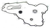 Water Pump Rebuild Kit WINDEROSA WPRK 821976