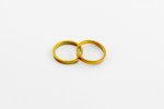 Spare rings PUIG 9170O SHORT WITH RING gold